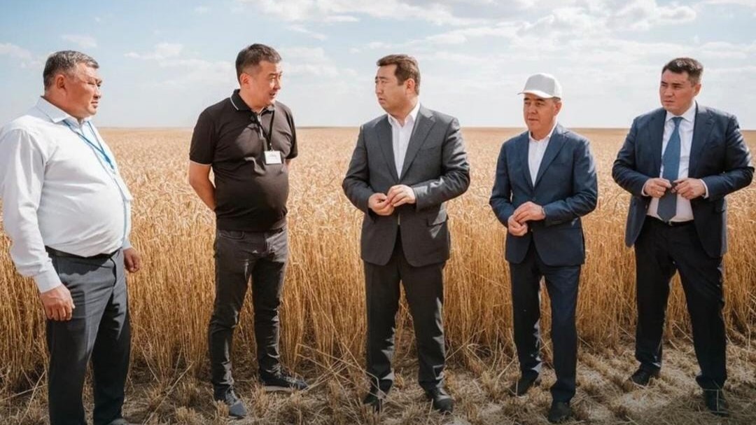 Дешевые кредиты и экспорт мяса: министр сельского хозяйства встретился с фермерами ЗКО