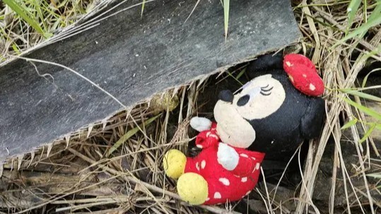 Педофил похитил пятилетнюю девочку из дома и убил ее в лесу