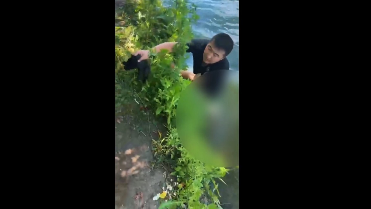 Полицейские Уральска спасли из воды шестерых щенят