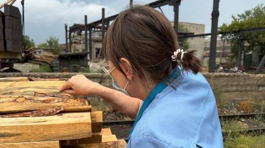 Опасных вредителей нашли при ввозе товара из России в Казахстан