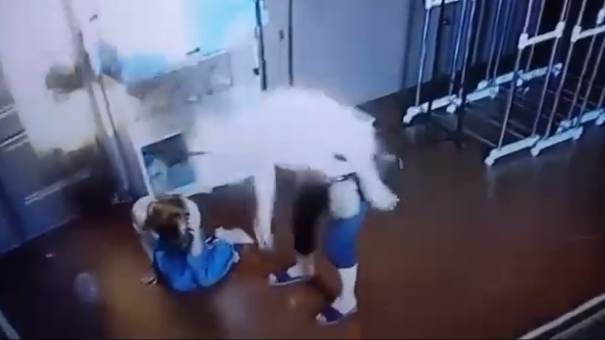 В Уральске задержали мужчину после публикации видео с избиением девушки