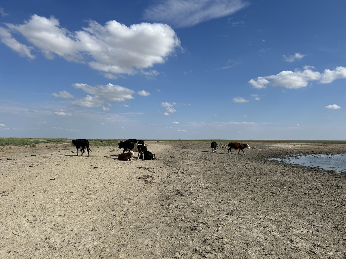 Фото Жулдызхан Хасангалиевой