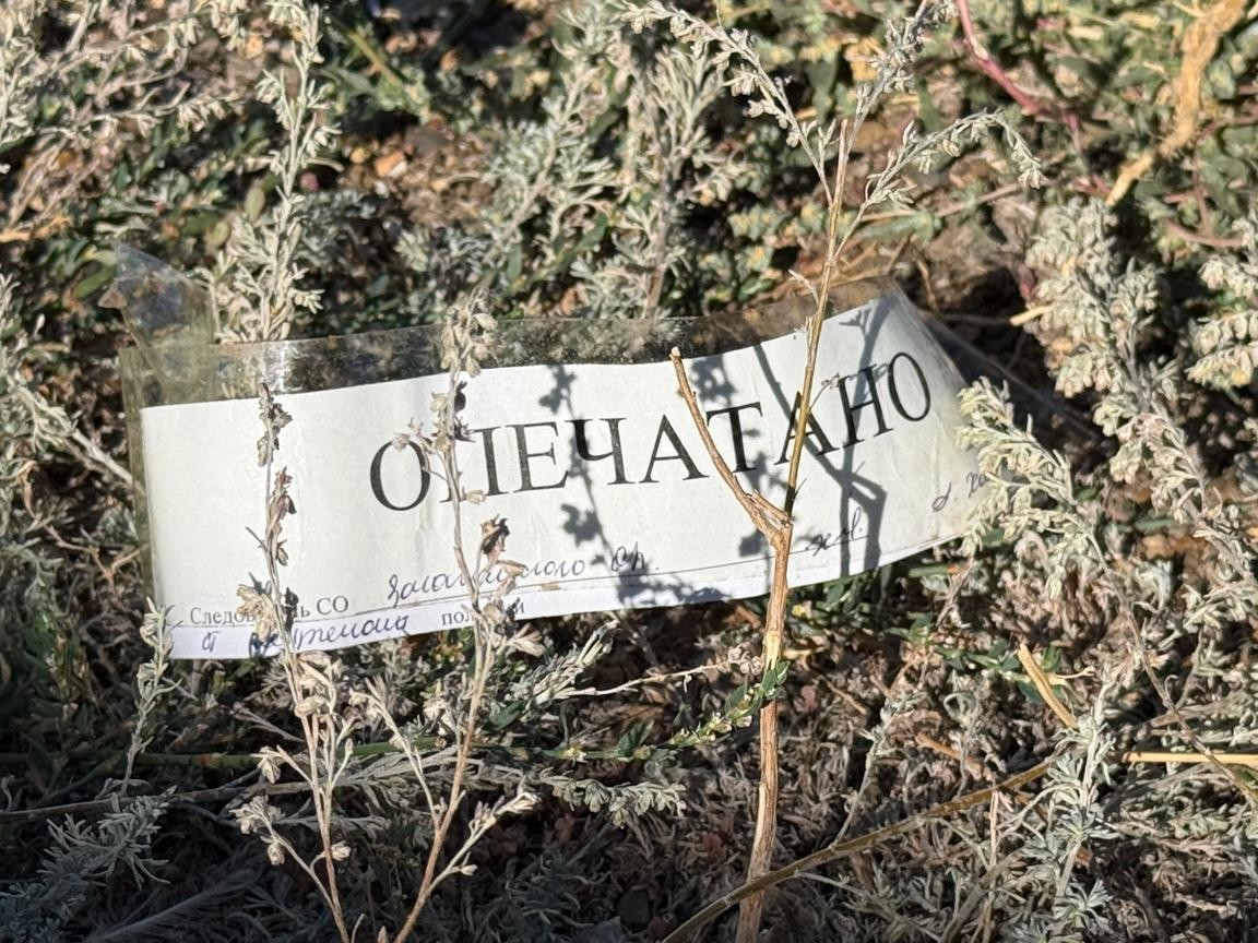 Фото Медета Медресова
