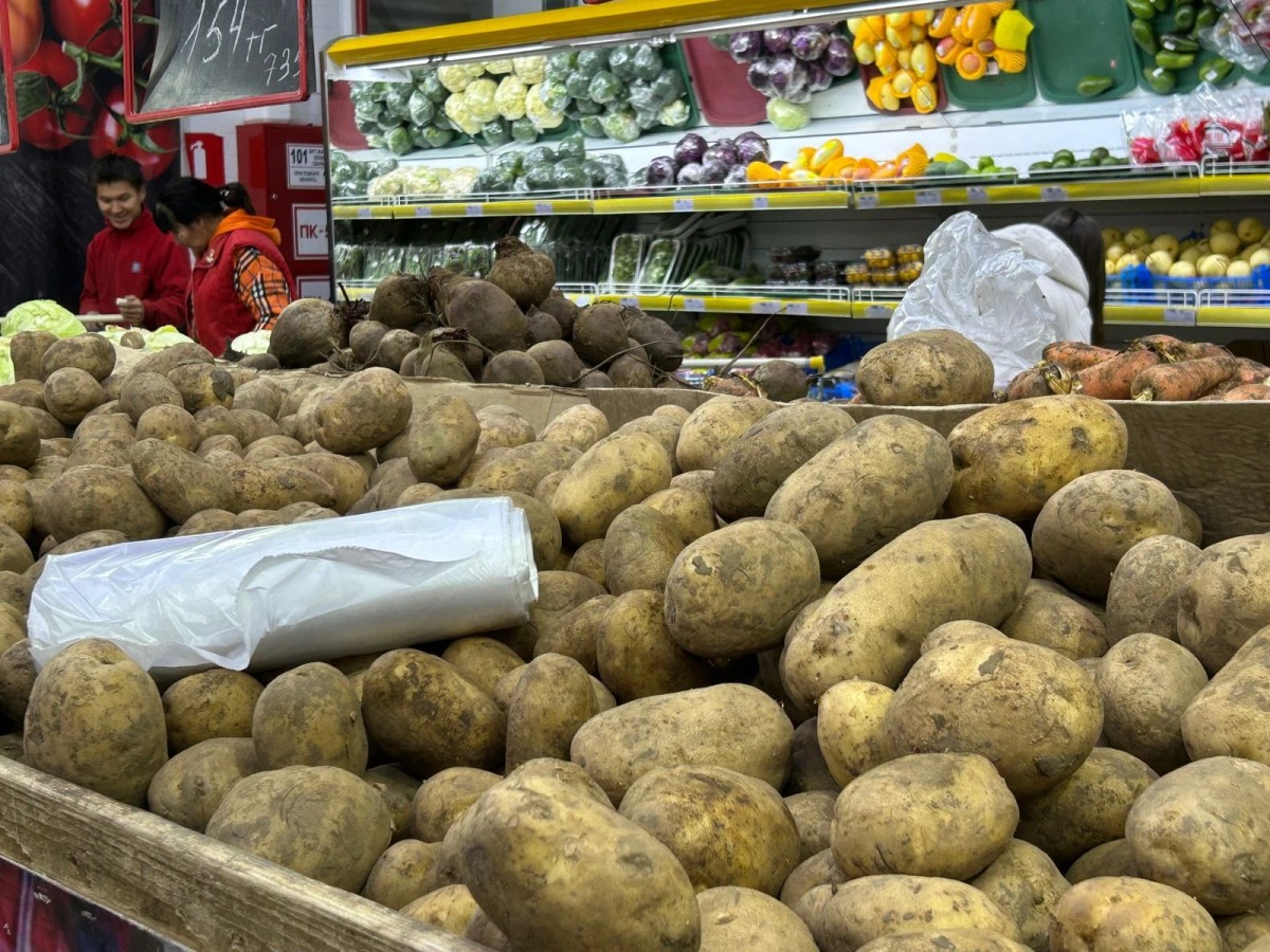 Картофель, лук и яблоки: на какие продукты снизились цены в Казахстане