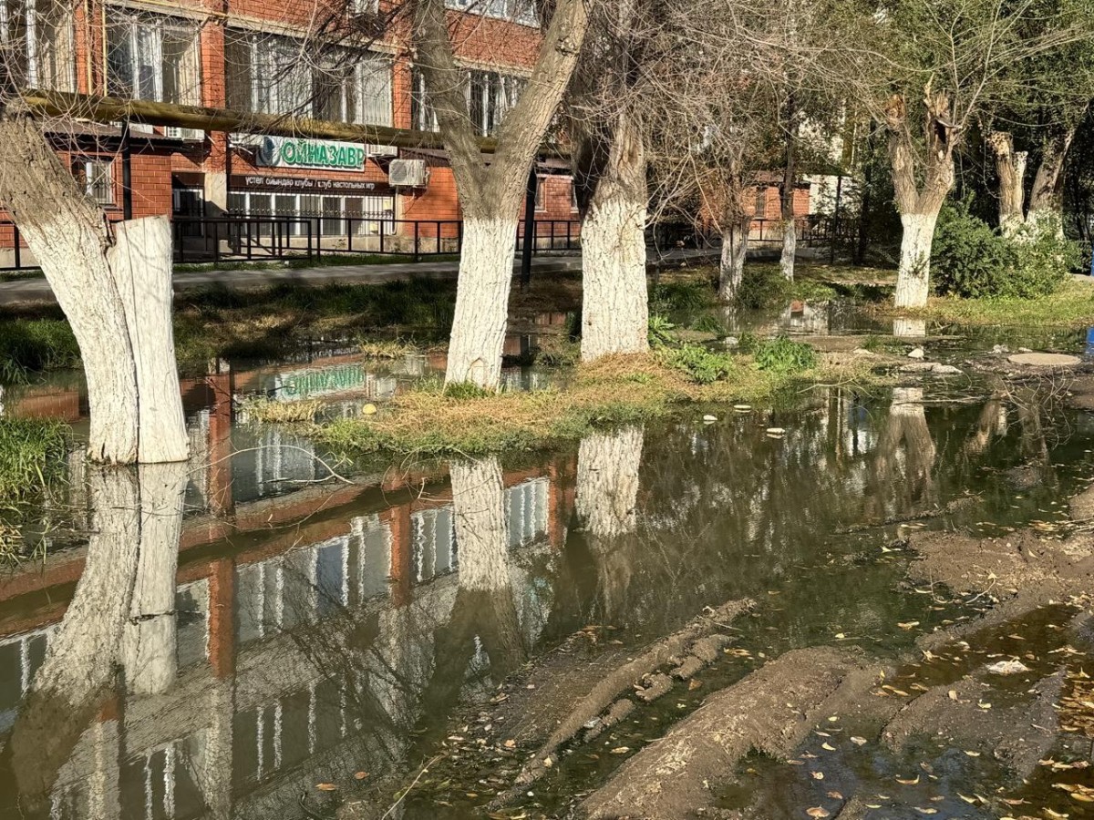 Медет Медресовтың фотосы