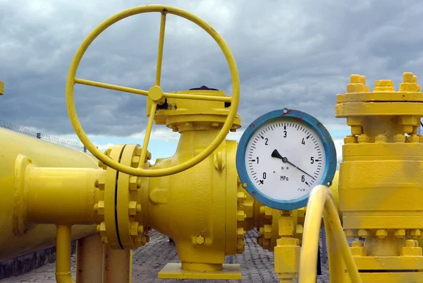Казахстанская нефть не дойдёт через Россию в Германию: в Минэнерго прокомментировали приостановку транзита