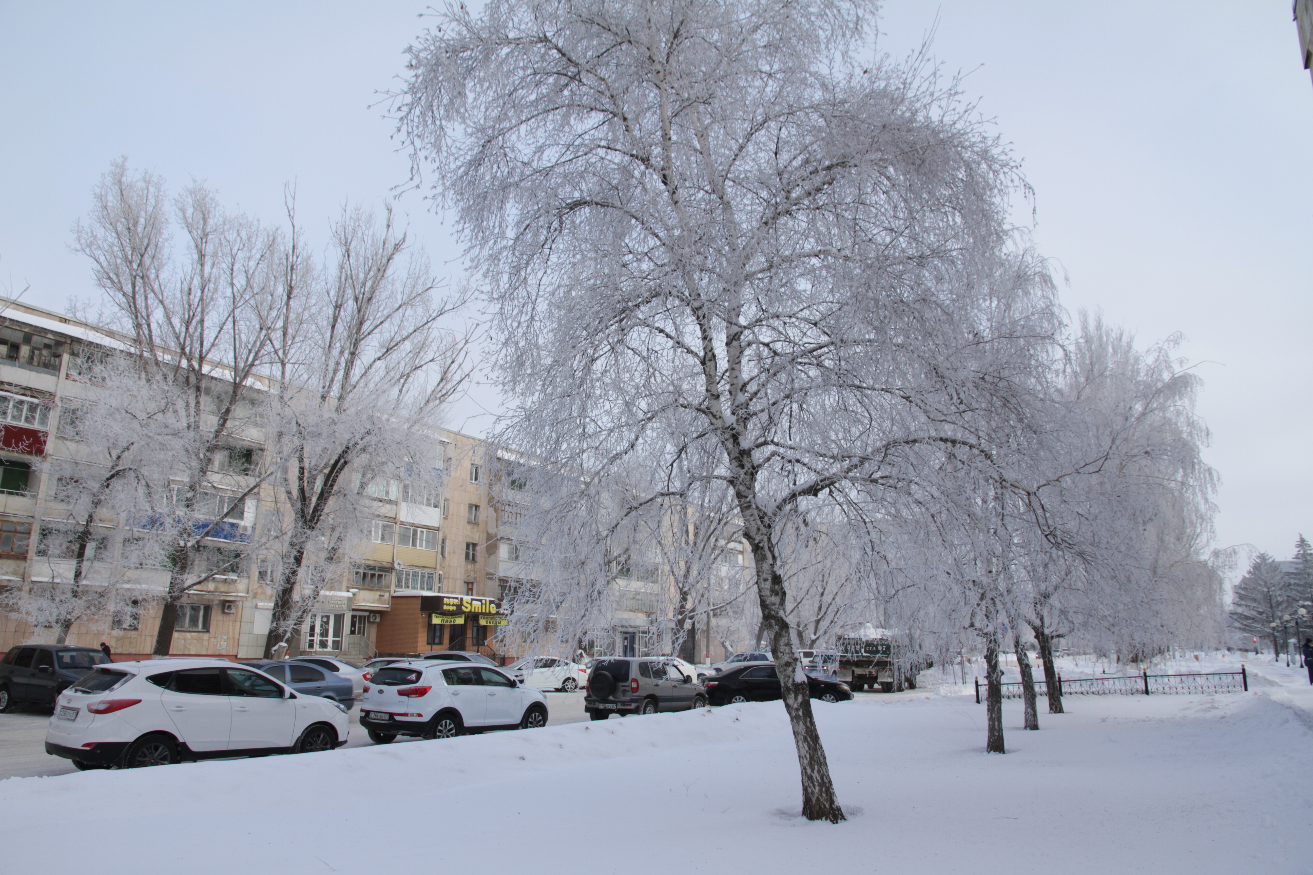 8 қаңтарда Батыс Қазақстанда жауын-шашын күтілмейді