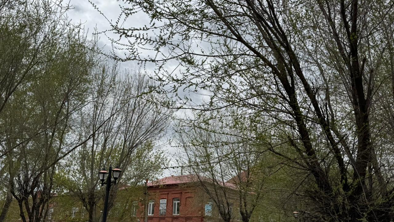 Дожди и до +17 градусов: какая погода ждёт жителей западных регионов Казахстана 22 апреля