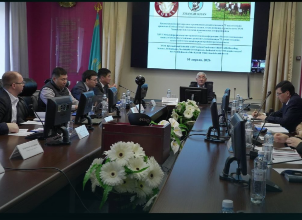 7,7 млрд тенге субсидий направлено на развитие мясного животноводства в ЗКО