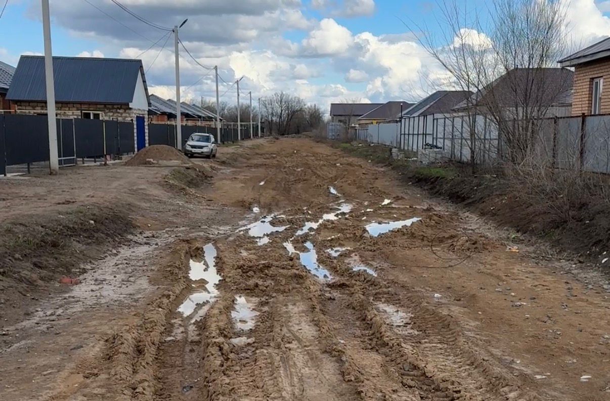 Мёртвые животные и бездорожье: в акимате Уральска прокомментировали ситуацию
