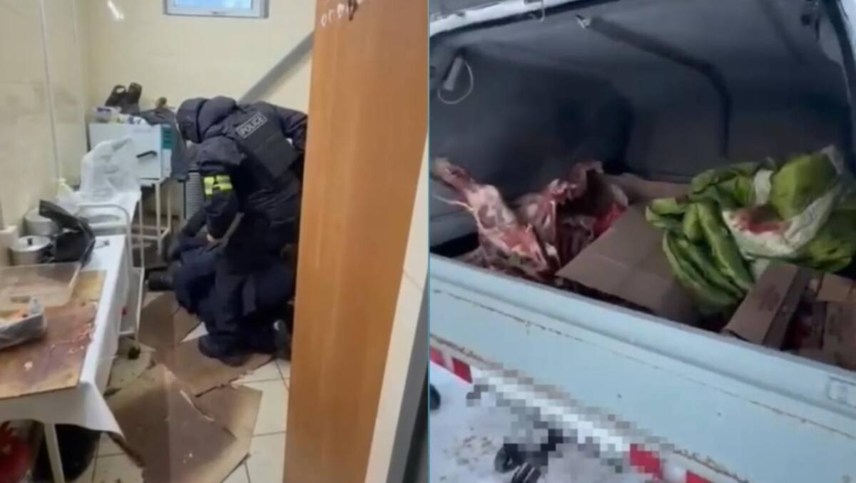 Краденых лошадей обменял на авто житель ЗКО