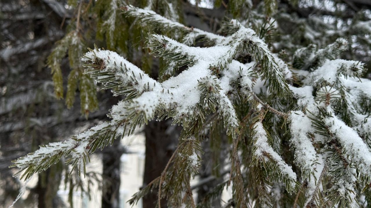 Мороз и солнце: прогноз погоды в Уральске на 15 января
