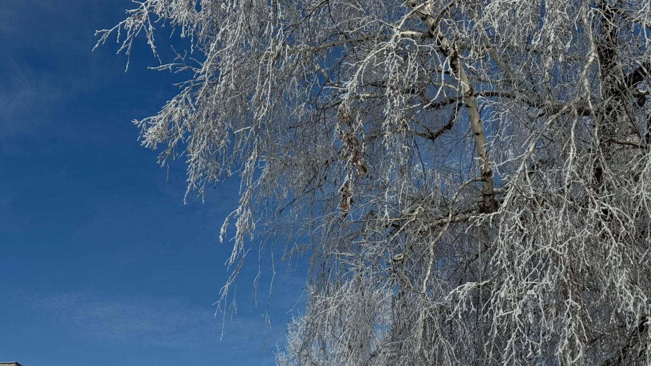 В Уральске завтра ясная и морозная погода: прогноз на 25 февраля