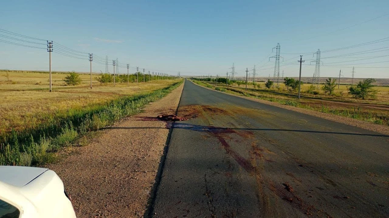 В Актобе погиб мужчина, пытавшийся помочь водителю после ДТП