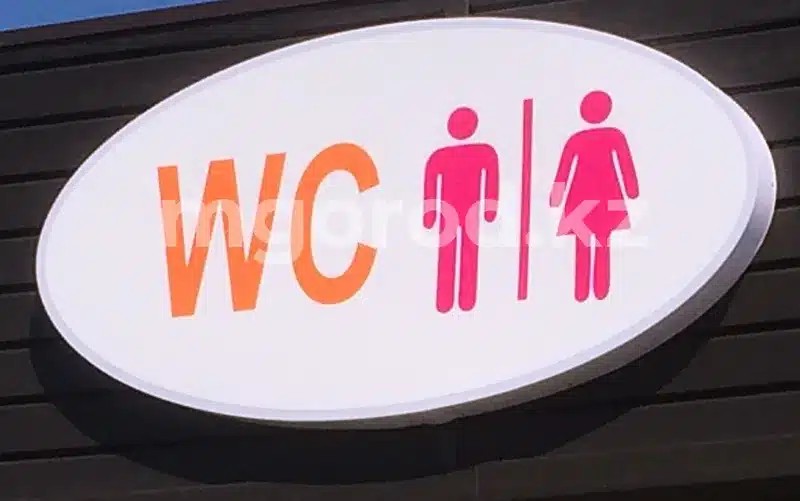 Суд сделал замечание акиму из-за уличного туалета в Актобе