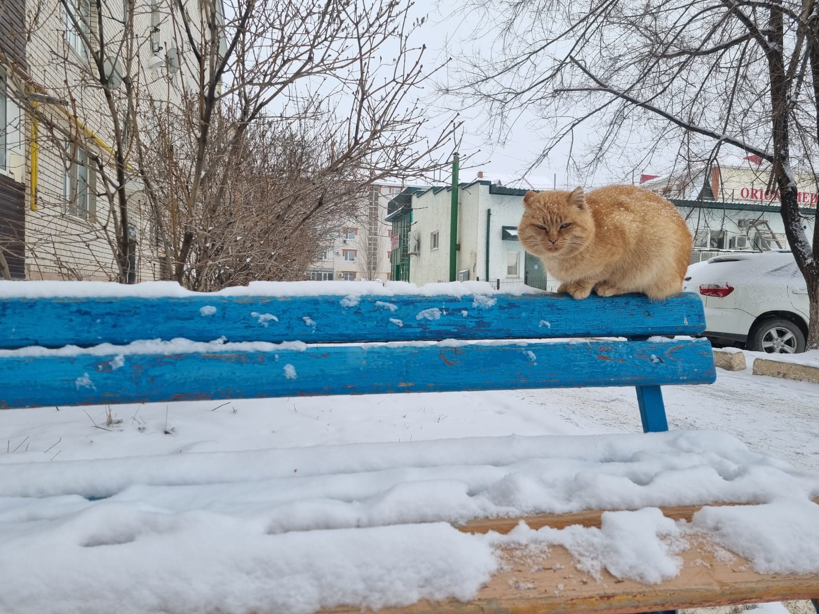Солнце, снег и небольшой дождь: погода на 4 января в ЗКО