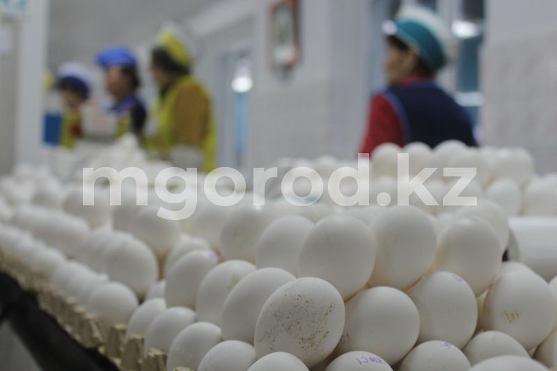 Цены на продукты в Казахстане растут быстрее, чем у соседей