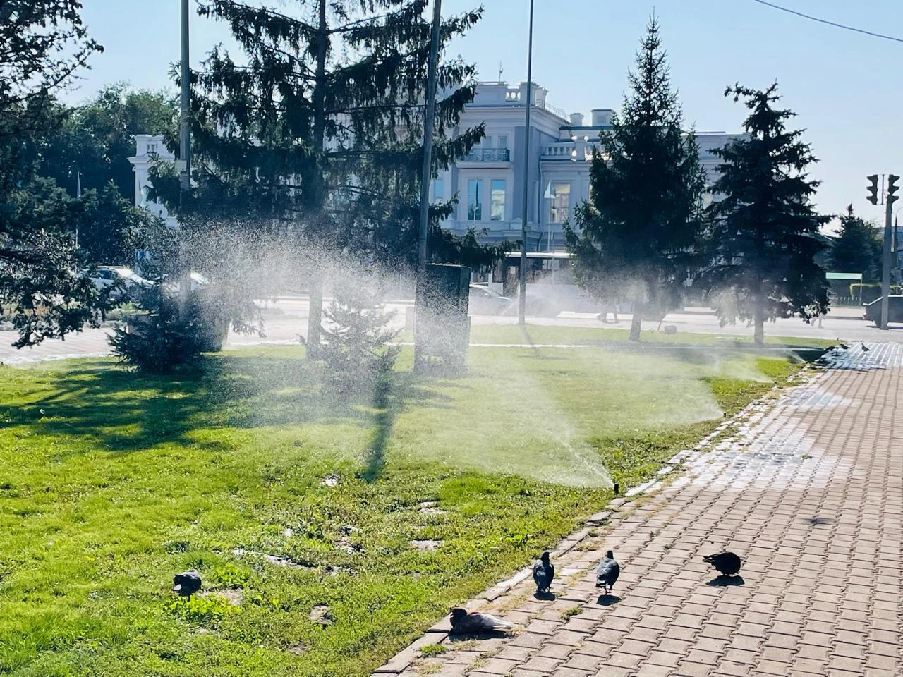 Теплая погода без осадков ожидается в ЗКО 4 сентября