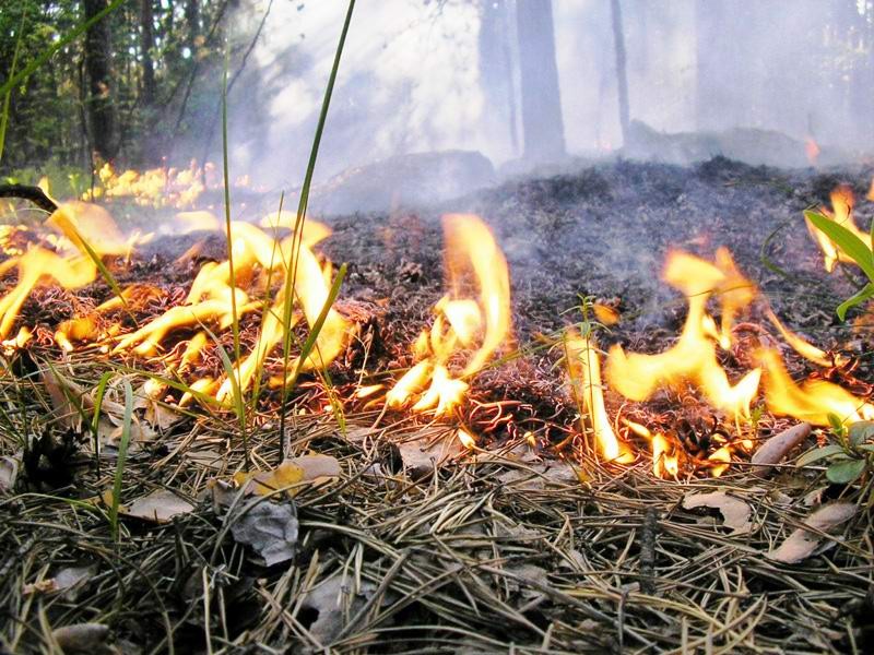 На западе Казахстана сохраняется высокая пожароопасность