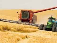 В Казахстане убрано 30% урожая зерновых