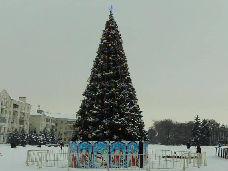 Парень в Атырау залез на новогоднюю елку, требуя выплатить зарплату