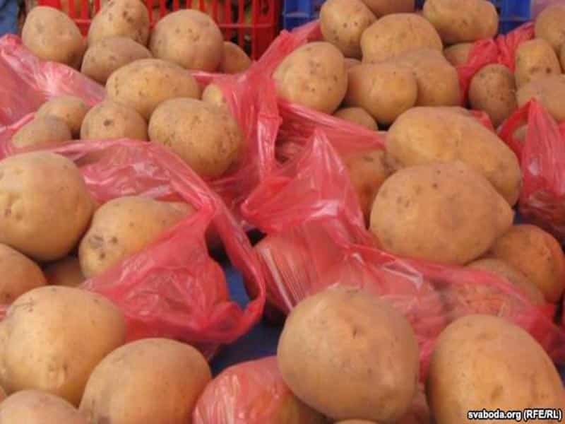 В Актобе картофель продают по 4 килограмма на руки