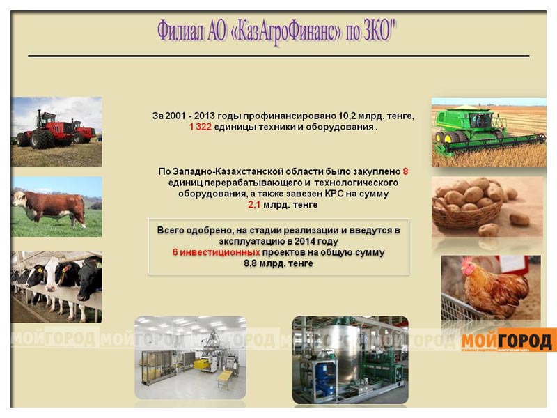 Предприниматели ЗКО просят «КазАгро» изменить оформление документов на кредиты