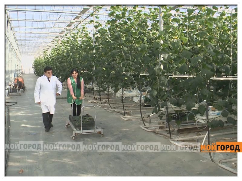 В Атырау продукцию из стабфонда продавали по завышенным ценам