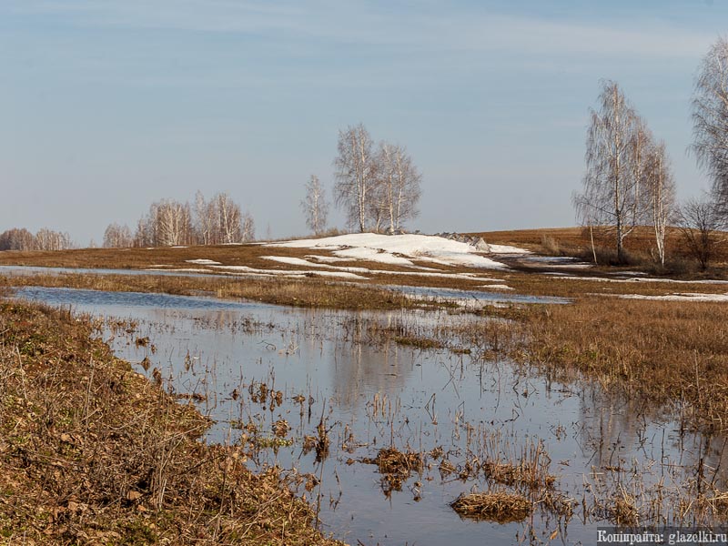 В ЗКО двое детей утонули в овраге с талой водой