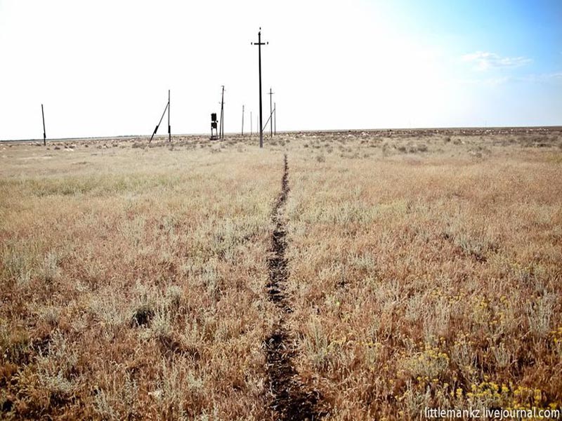 13 голов КРС погибло под линиями электропередач в ЗКО