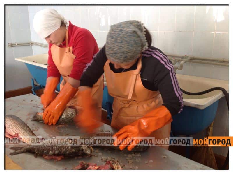 В атырауской женской колонии будут выпускать рыбную продукцию