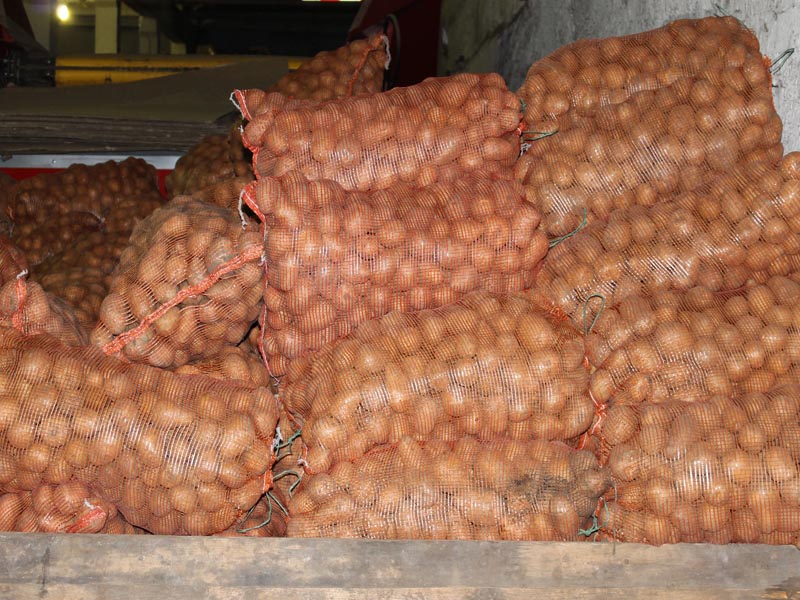 В Атырау более 5,5 тысячи тонн сельхозпродукции закупят для стабфонда