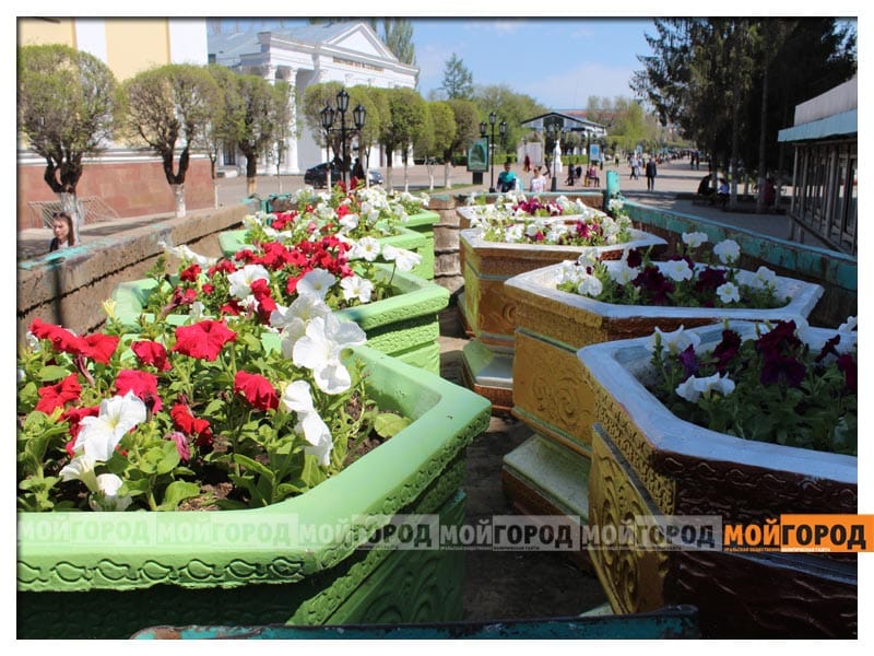В Уральске высадят миллион цветов