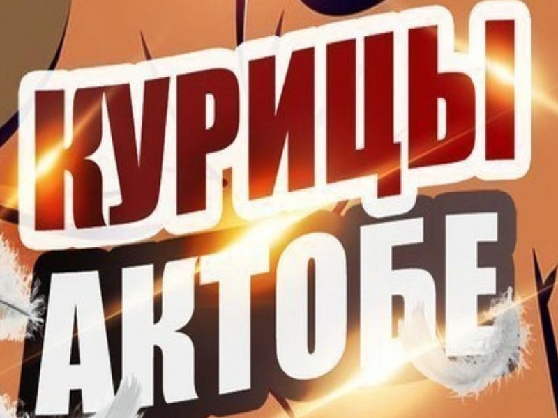 Группа в «ВКонтакте» «Курицы Актобе» довела до смерти 17-летнюю девушку