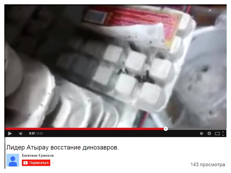 В супермаркете «Лидер» водятся «тараканы-динозавры» (видео)