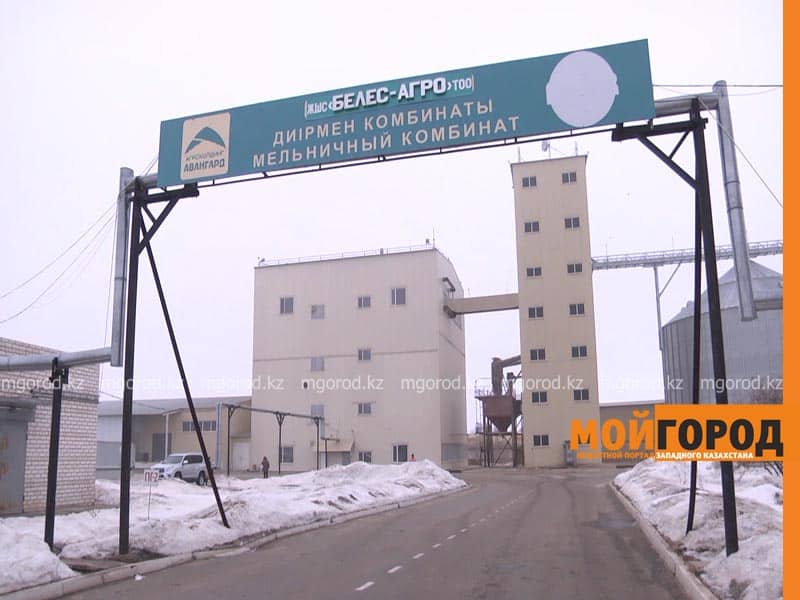 Процесс переработки зерна в муку показали в ЗКО