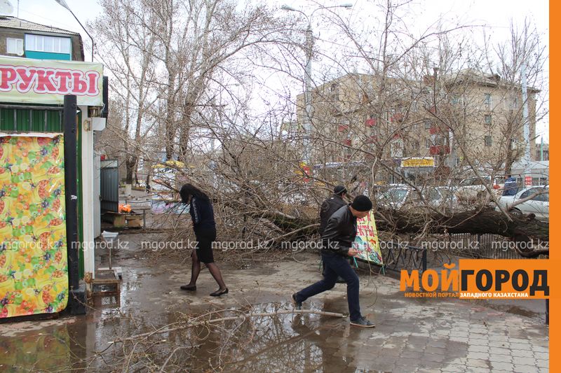 В ЗКО объявлено штормовое предупреждение