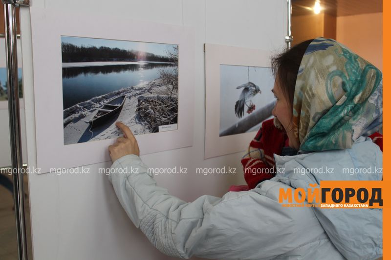 В Уральске открылась фотовыставка «Природа Западного Казахстана»