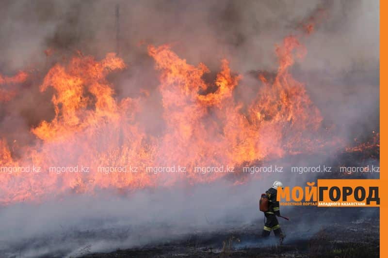 В Уральске горела сухая трава на площади 6 гектаров