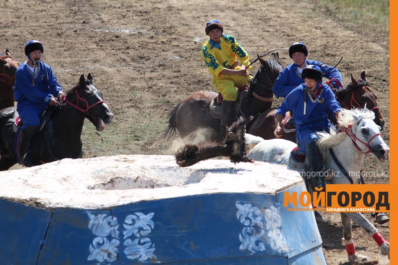 250 наездников соревнуются в Уральске в конных видах спорта (фото, видео)
