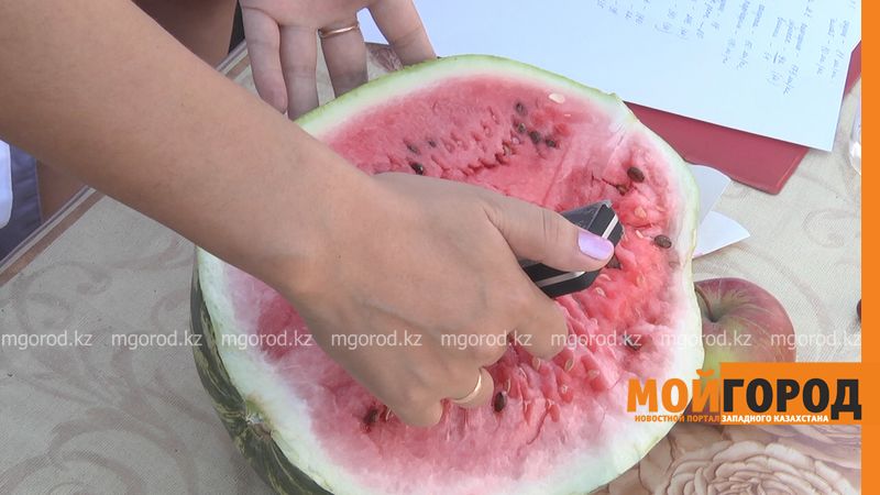 Фрукты и ягоды на стихийных рынках Уральска проверили экспресс-методом (фото, видео)