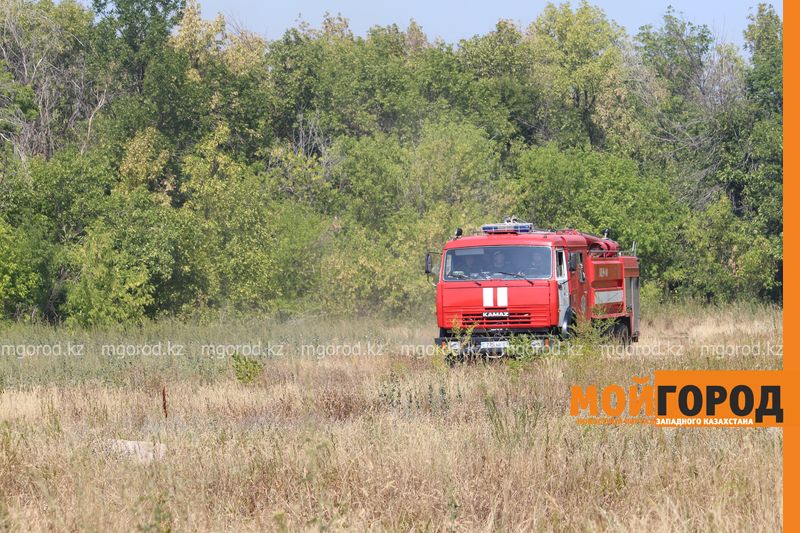 Заблудившихся в лесу пенсионеров спасли в Уральске