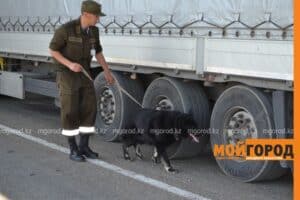 В ЗКО россиянин пытался провести сына через госграницу, спрятав его под одеялом