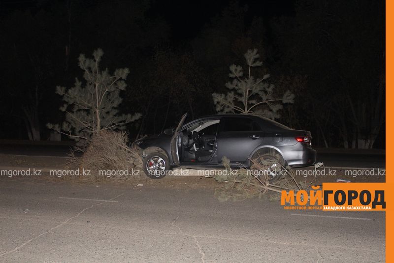 В Уральске «Тойота» снесла дерево на дороге