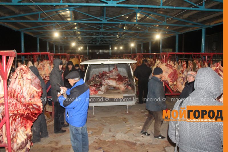 Кто зарабатывает на мясе в ЗКО