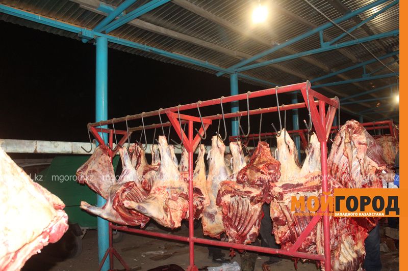 В ОАЭ начнут экспортировать КРС  и МРС