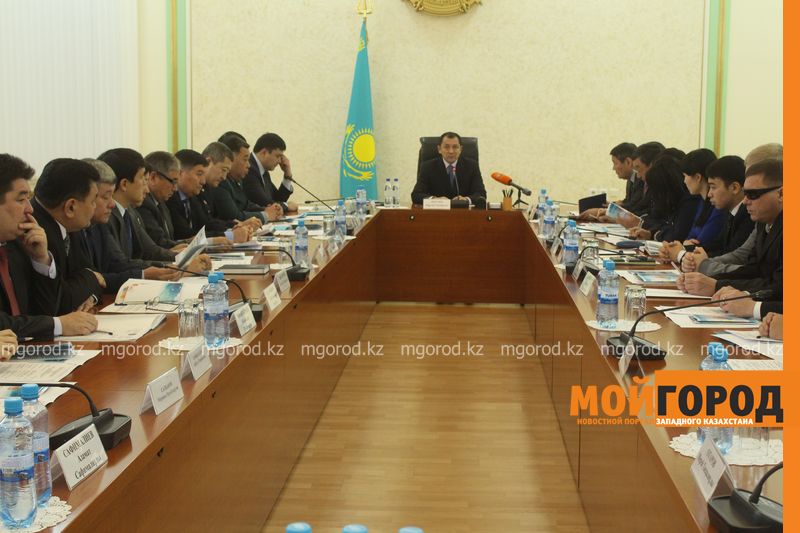 В ЗКО трудоустраиваются 50% участников программы «Молодежная практика»