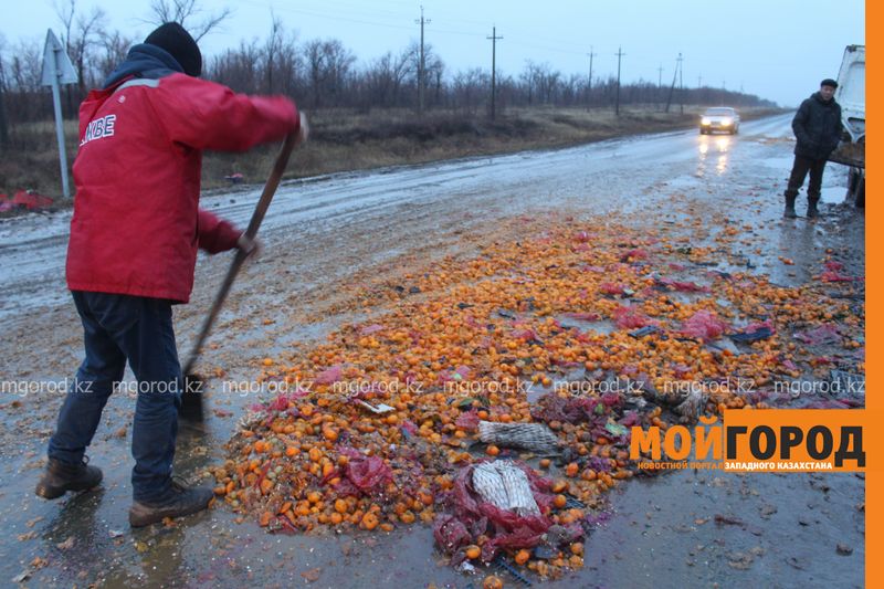 Полтонны мандаринов рассыпалось на автодороге в ЗКО (фото, видео)