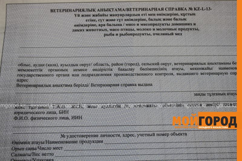 30 тысяч справок, из-за которых началась забастовка «мясников», раздали ветеринарам ЗКО