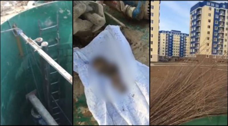 В ЮКО нашли тело недоношенного ребенка в канализационной трубе